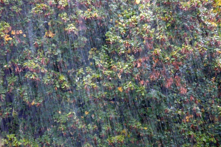 Dziś zanosi się na ulewne deszcze na północy kraju, Foto: Pixabay/Hans