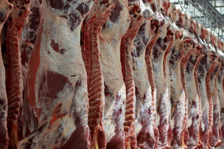 USDA: Globalna produkcja wołowiny prawdopodobnie wzrośnie o 1,6 proc. w 2021 roku w porównaniu z poprzednim rokiem; Fot Shutterstock