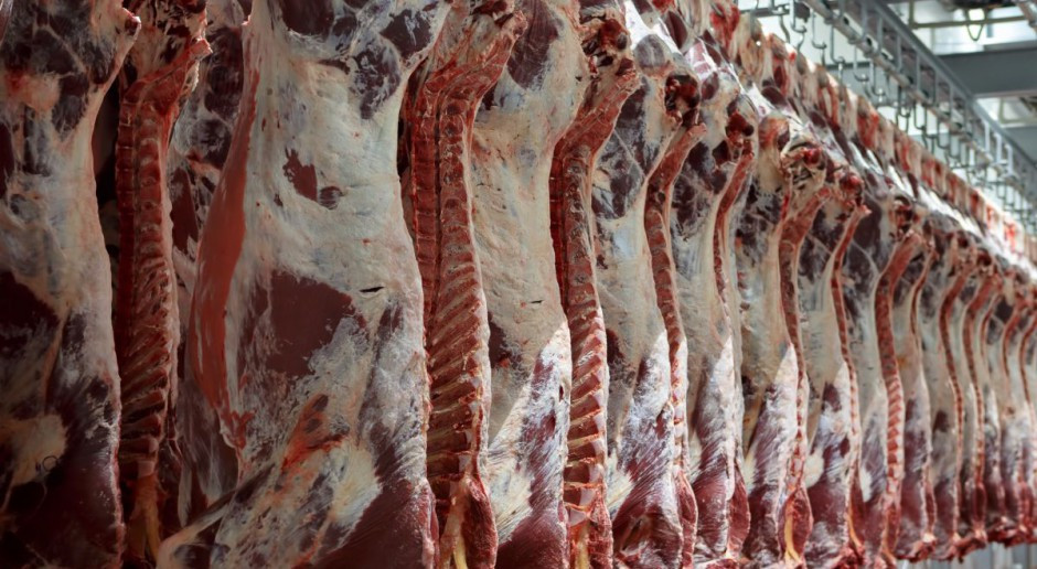 USDA: Wzrośnie światowa produkcja mięsa