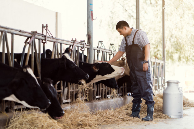 Zmiana pokoleniowa i brak pracowników to dwa ważne problemy w sektorze mleczarskim