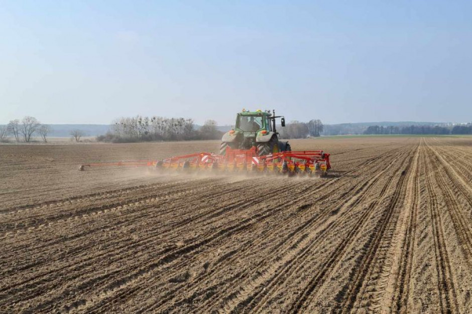 Duże zainteresowanie zakupem nasion buraka przez internet, fot. P&L Polska