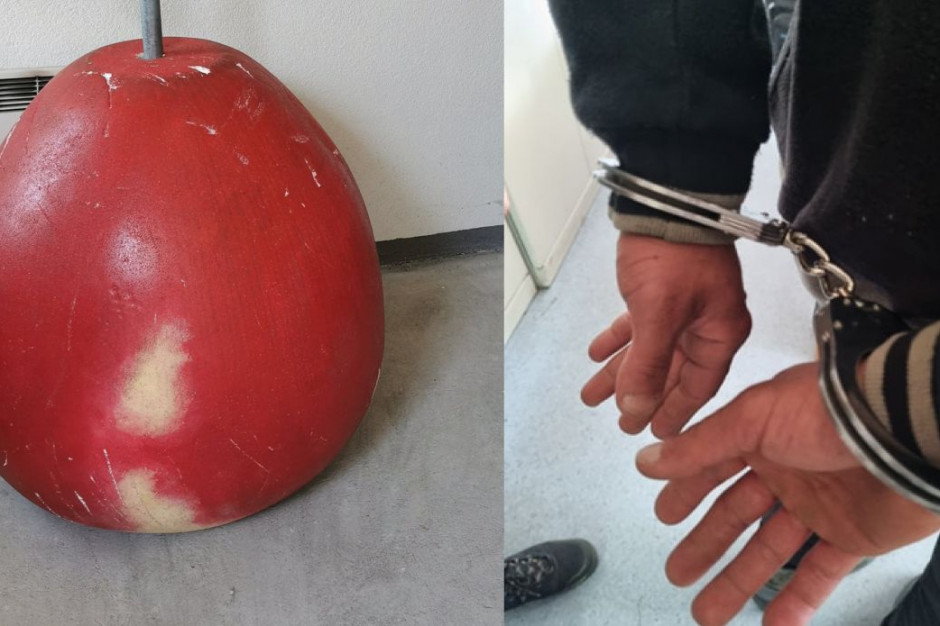 Reklamowe jabłko odzyskano, a złodzieje usłyszeli prokuratorskie zarzuty, fot. Policja