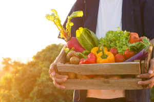 PSOR: lista „brudnych” owoców i warzyw nie ma sensu