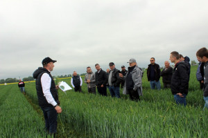 Webinaria Agrii Demo w wersji online