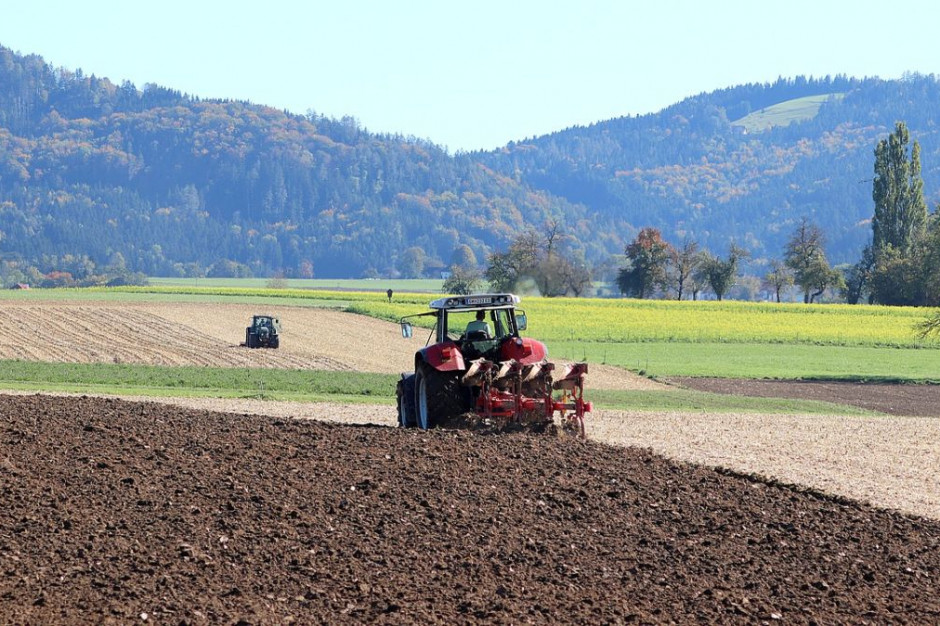 Duże gospodarstwa rolne można zakupic także na Słowacji, Foto ilustracyjne: Pixabay/WFranz