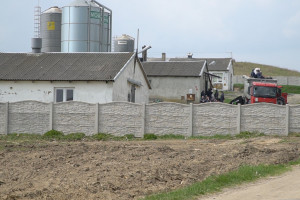 Zieloni o postawie ministra: Myjcie ręce hodowcy, a problem grypy ptaków sam się rozwiąże