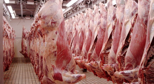 UPEMI: Lepsze wyniki w eksporcie mięsa za III kw. br.