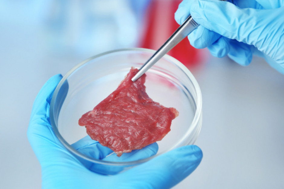 Południowokoreańscy naukowcy wyhodowali in vitro tkankę mięśniową podobną do wieprzowiny; Fot. Shutterstock