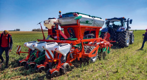 Agrotechnika kukurydzy według Agro-Maszu