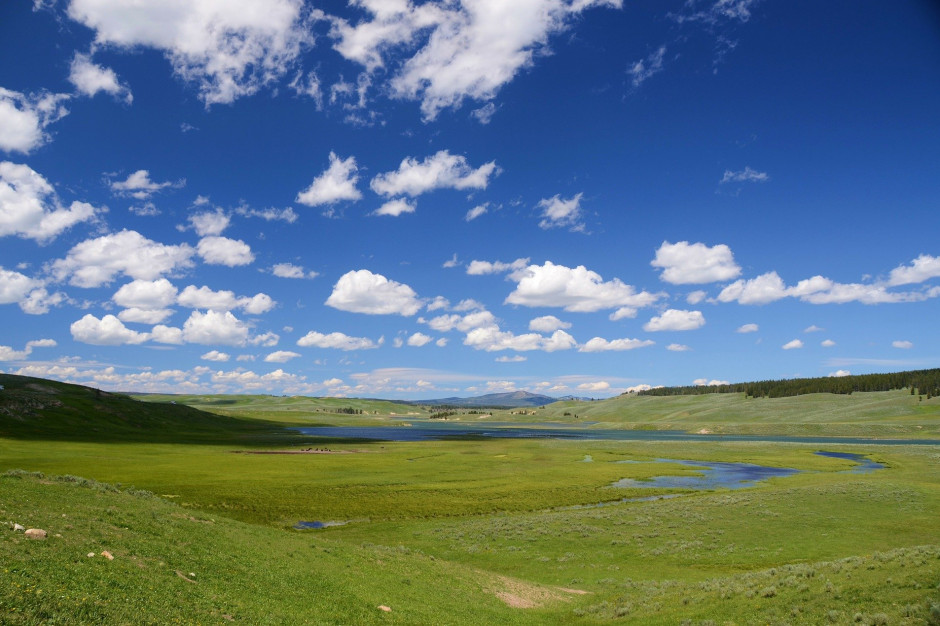 NIK stwierdziła nieprawidłowości dotyczące dzierżawy gruntów rolnych w sześciu na siedem skontrolowanych parków narodowych: fot. Steppinstars z Pixabay