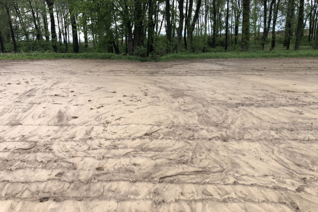 Ryc. 4. Nagromadzenie osadów na powierzchni gleby może doprowadzić do zaburzenia stosunków powietrzno-wodnych. /fot. Dawid Chwirot, VH Polska