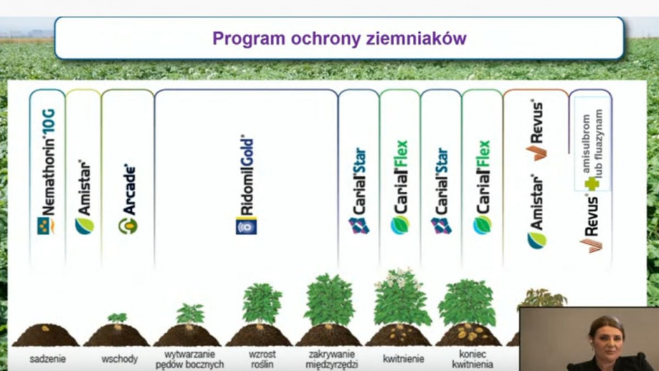 Program ochrony ziemniaka proponowany przez Syngentę, fot. slajd z webinarium