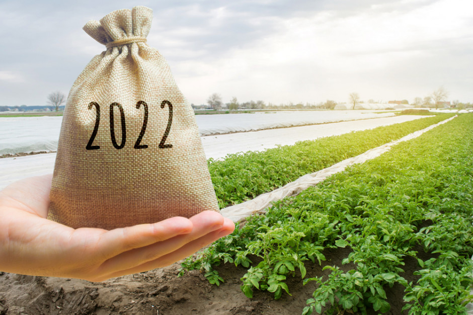 GUS podał średnią krajową cenę skupu pszenicy według danych szacunkowych w II półroczu 2021 r., fot. shutterstock