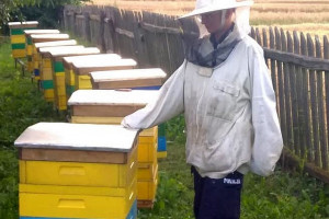 Rolnik przed sądem za otrucie pszczół
