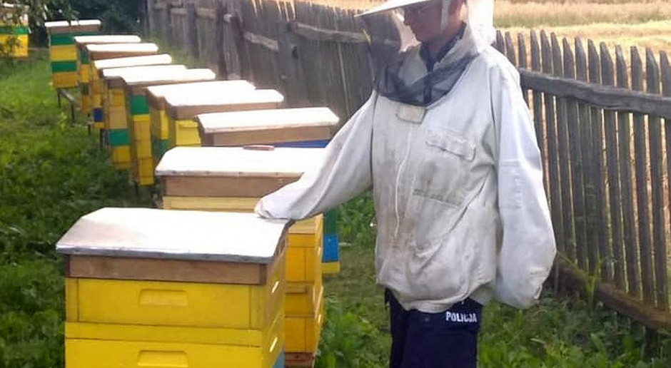 Rolnik przed sądem za otrucie pszczół