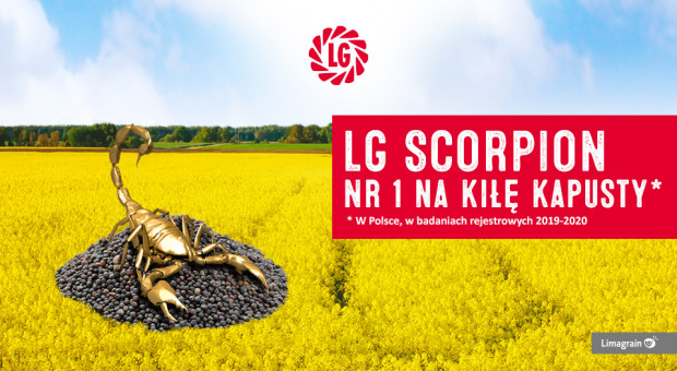 fot. LG Skorpion/Limagrain