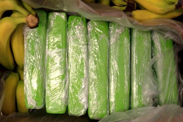160 kg kokainy w bananach dostarczonych do znanej sieci sklepów