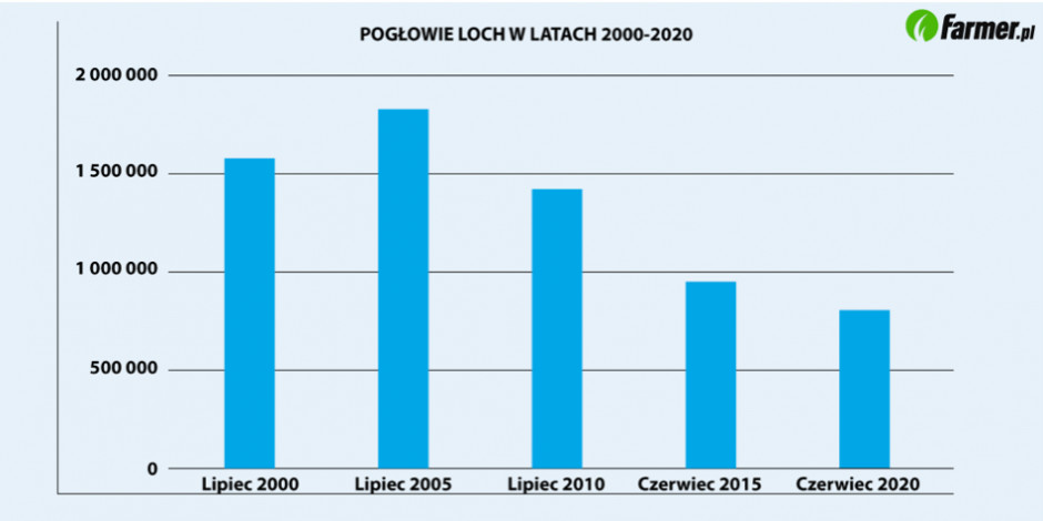 Zmiany pogłowia loch w latach 2000-2020 (Źródło: GUS)