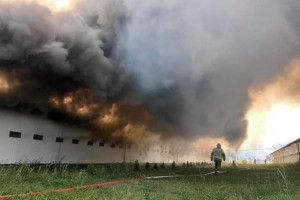 Pożar na fermie drobiu – spłonął wielki kurnik