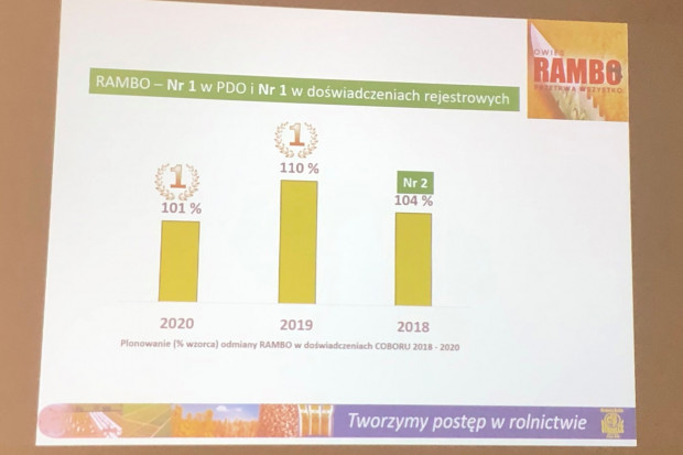 W badaniach latach 2018-2020 Rambo plonował na poziomie 101-110 proc. wzorca (JŚ-S).