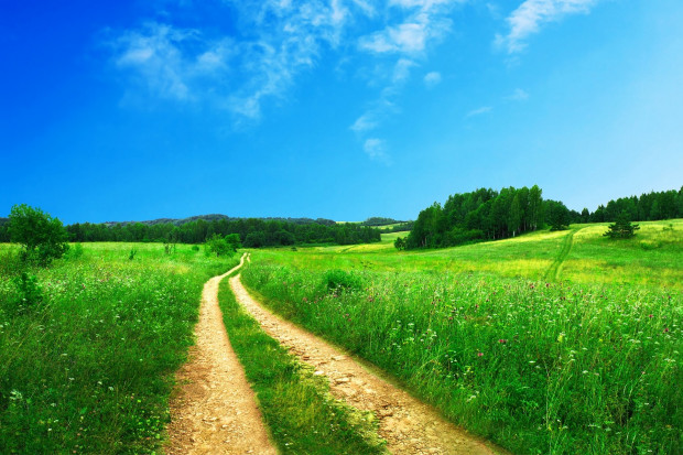 fot. Free-Photos z Pixabay Poprawią drogi dojazdowe do pól w woj. kujawsko-pomorskim