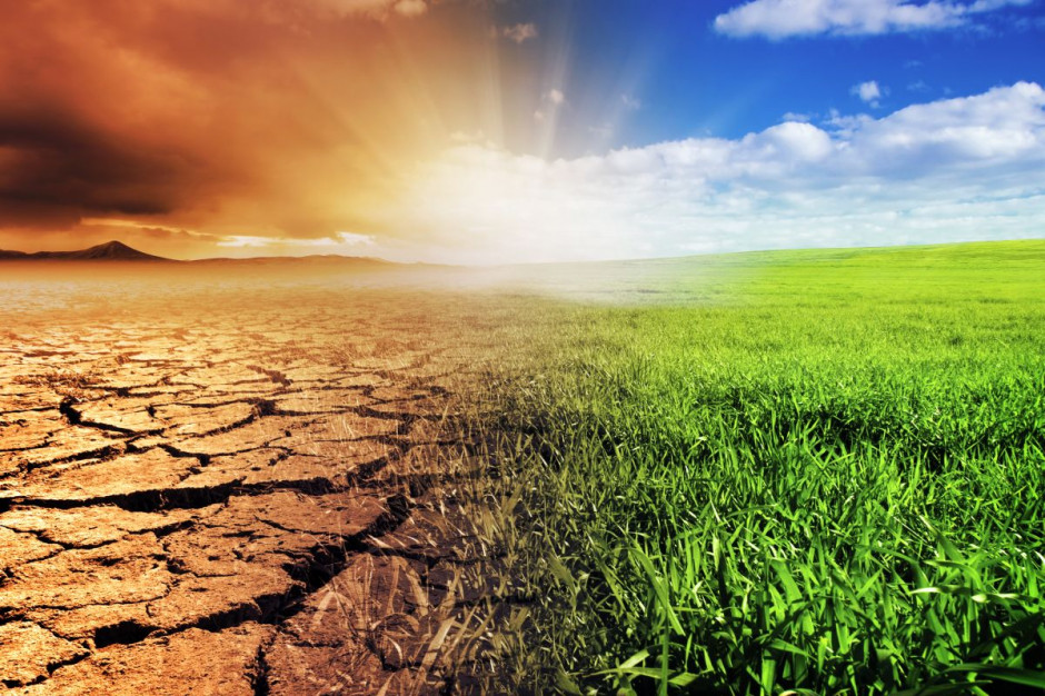 Duński rząd chce wydać więcej pieniędzy na realizację ambitnych środków ochrony klimatu w rolnictwie; Fot. Shutterstock