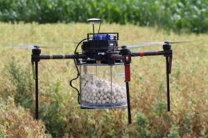 Jak chronić rośliny z wykorzystaniem dronów?