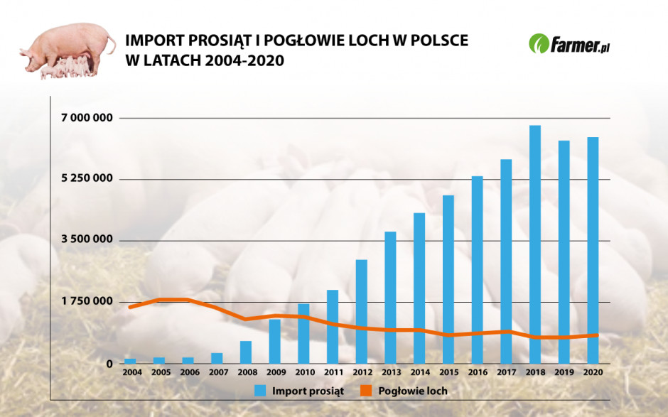 Źródło: Eurostat, GUS Grafika: PTWP