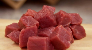 Czy mięso zostanie wyparte z naszej diety przez substytuty?