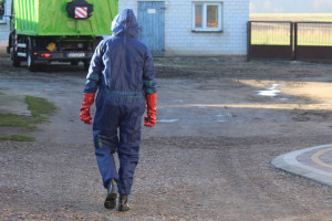 USDA: mniej szczep&oacute;w wirusa ASF