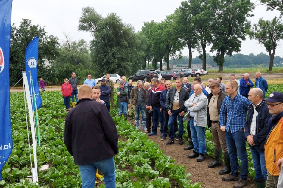 Ponad 640 osób wzięło udział w warsztatach polowych dla plantatorów organizowanych przez Pfeifer & Langen Polska S.A. w dniach 22 do 25 czerwca w Wielkopolsce i na Mazowszu, fot. P&L
