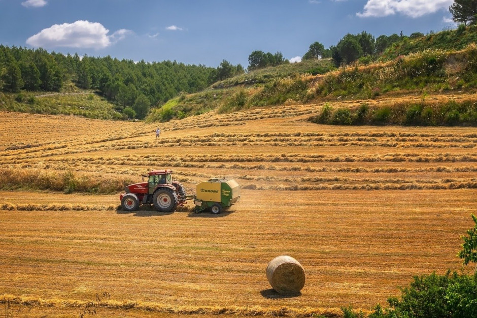 Rosyjskie ministerstwo rolnictwa prognozuje produkcję zboża na 127,4 mln ton w 2021 roku, w tym około 81 mln ton pszenicy; Fot. pixabay.com