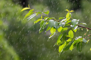 Synoptyk IMGW: w niedzielę przelotne opady deszczu i burze niemal w całym kraju