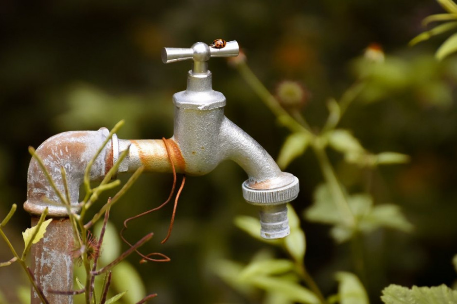 Większość komunalnych spółek chce podnieść stawki opłat za wodę, Foto: Pixabay/Alexas_Fotos