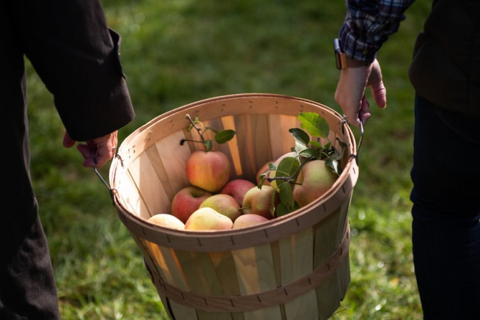 Jakie odmiany jabłek cieszą się największą popularnością wśród importerów na świecie?, fot. mat. prasowe Unia Owocowa