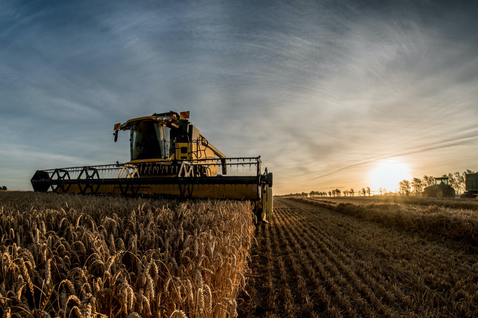 DBV w 2021 r.  zakłada zbiory zbóż w Niemczech na poziomie ok. 45,4 mln ton; Fot. Shutterstock