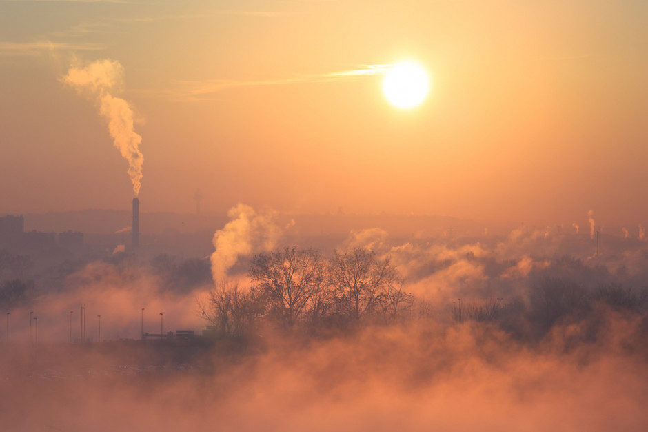 Obecne w powietrzu zanieczyszczenia wpływają na produkcję hormonów przez tarczycę - wynika z badań, fot. Shutterstock