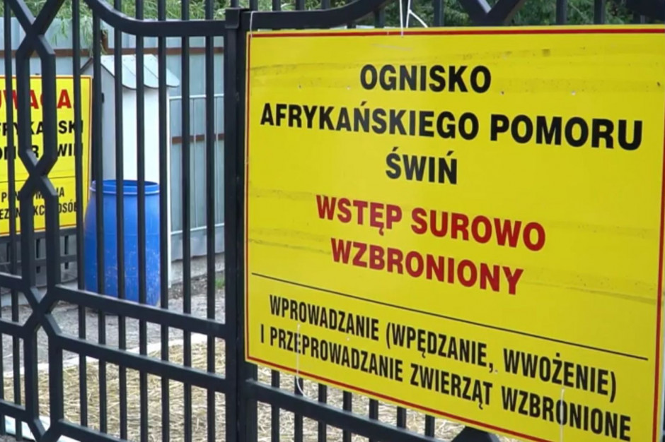 Główny Inspektorat Weterynarii potwierdził ogniska ASF w powiecie żuromińskim, tarnowskim i mieleckim Fot. I.Dyba