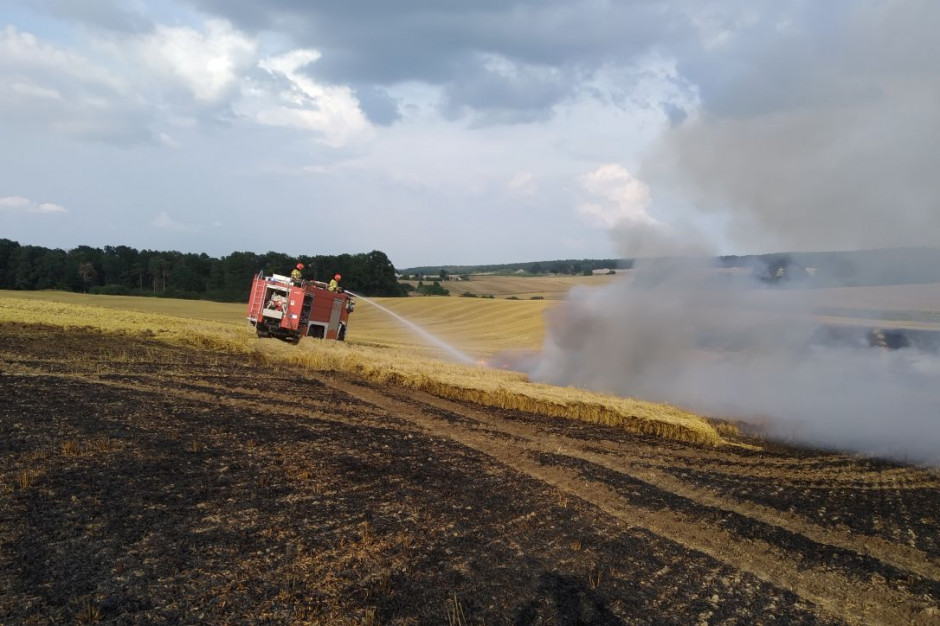 W Pielicach z dymem poszło 20 ha zboża na pniu, Foto: PSP Strzelce Krajeńskie