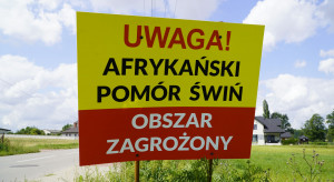 Nie widać końca ognisk ASF - choroba znów na Podkarpaciu