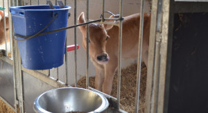 The upward trend for dairy products has been continuing for 3 months The upward trend for dairy products has been continuing for 3 months