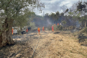 Lokalne władze alarmują: Pożary na Sardynii to katastrofa bez precedensu