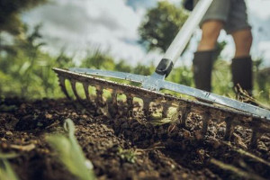 Poznaj 10 kroków, które przybliżą Cię do założenia trawnika w ogrodzie