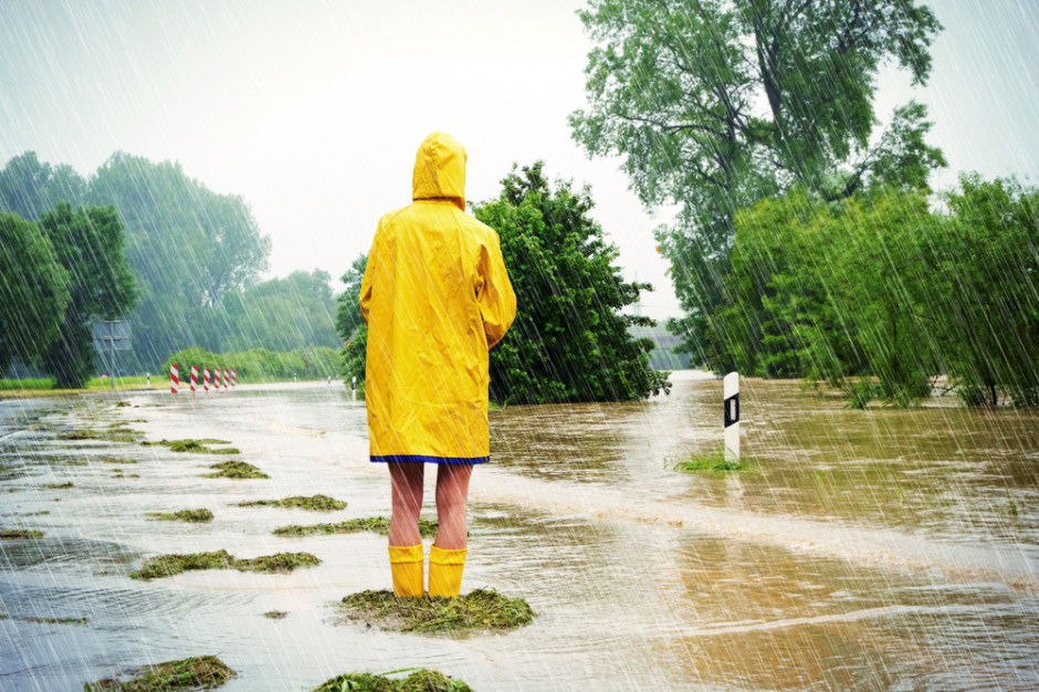 We włoskim regionie Emilia-Romania, dotkniętym przez rekordową powódź, zanotowano ogromne straty w tzw. Dolinie Owoców, gdzie znajdują się uprawy kiwi, moreli i brzoskwiń - informuje w poniedziałek dziennik "La Stampa". Fot. Shutterstock