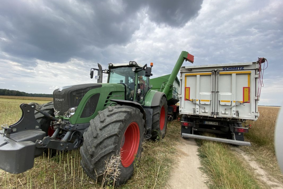 Największym plonem pszenicy jarej (około 6 ton z ha) mogą pochwalić się rolnicy z powiatu pińczowskiego, fot. farmer.pl