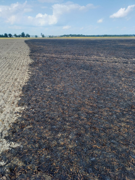 Odcięcie pożaru broną talerzową, zabieg niebezpieczny, ale ratujący resztę plantacji. / VH Polska