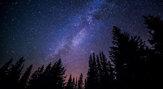W nocy maksimum Perseidów w godzinę można dostrzec nawet ponad 100 "spadających gwiazd"