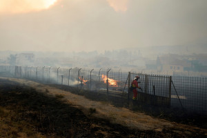 Hiszpania: 30 pożarów lasów, 200 ha spłonęło wskutek niedopałka