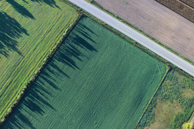 Jak sprawdzić, czy nieruchomość jest rolna?