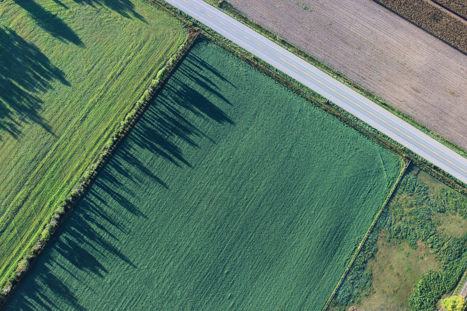 Na jakich zasadach osoba nie będąca rolnikiem może zakupić nieruchomości rolne powyżej 1 ha? Foto. Pexels z Pixabay